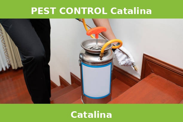 PEST CONTROL Catalina